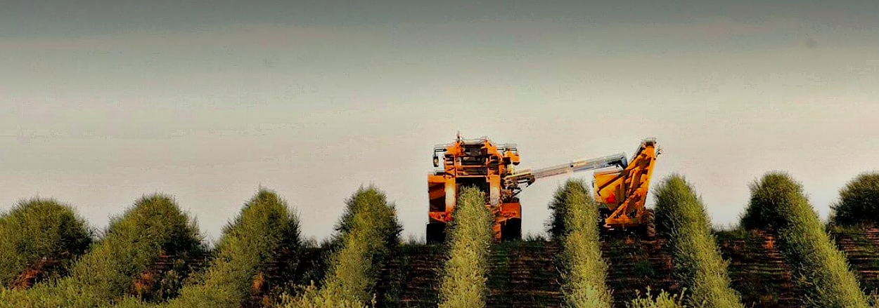 California Almonds and Regenerative Agriculture?