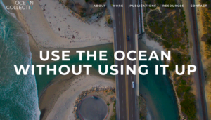 Ocean Collectiv - Regeneration Newsroom