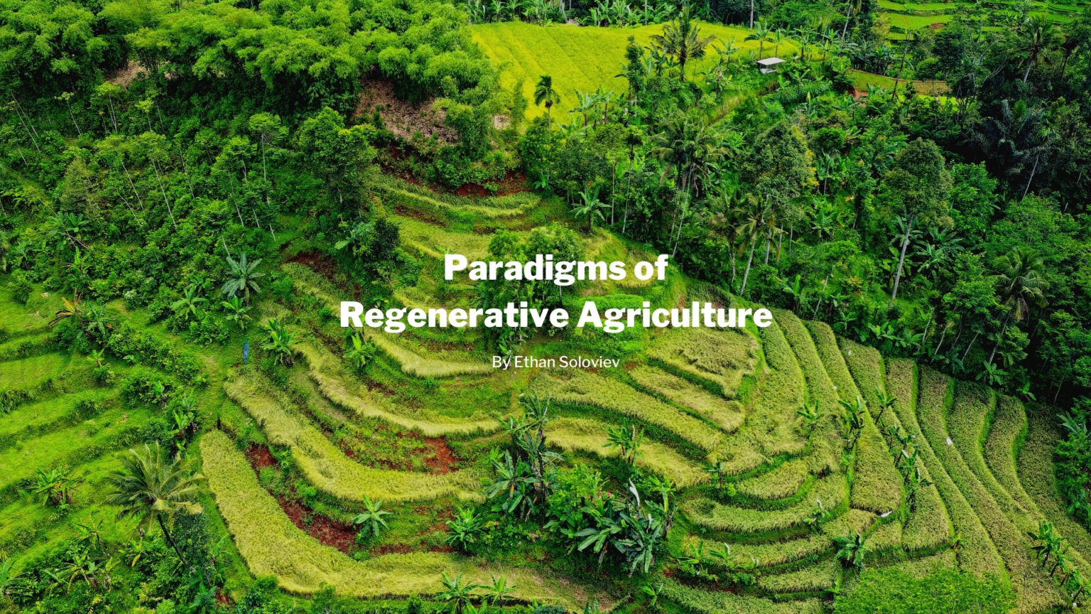 Paradigms Of Agriculture | Re-Source